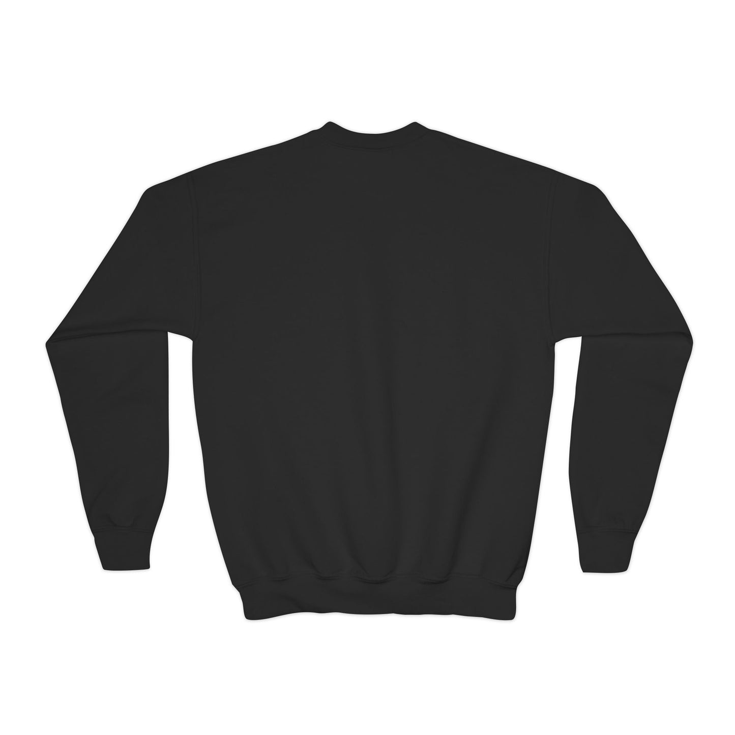 Adorable Bunny Graphic Youth Crewneck Sweatshirt
